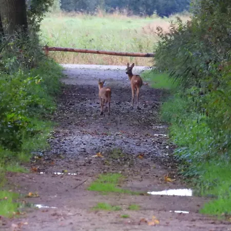 Bed & Breakfast De Blauwververij