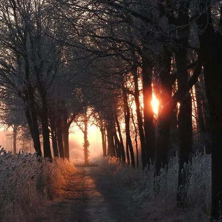 De Blauwververij 3* Blitterswijck