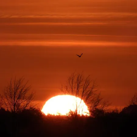 De Blauwververij Bed & Breakfast Blitterswijck