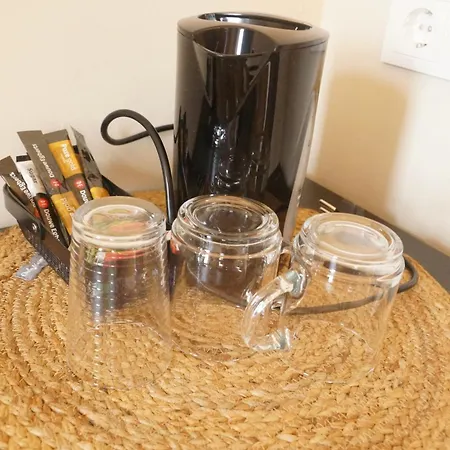 住宿加早餐酒店 De Blauwververij Blitterswijck