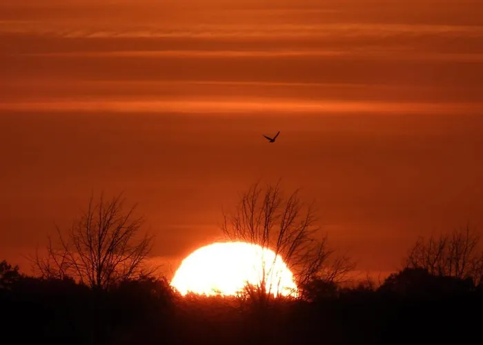 De Blauwververij Bed and breakfast Blitterswijck