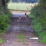 לינה וארוחת בוקר De Blauwververij