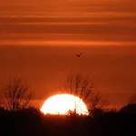 De Blauwververij לינה וארוחת בוקר Blitterswijck