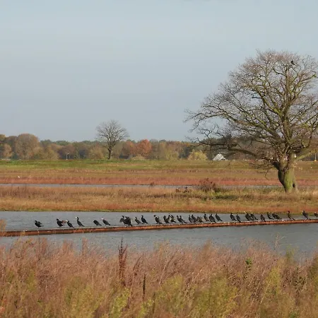 De Blauwververij
