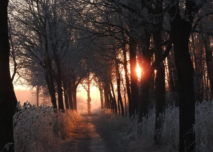 De Blauwververij 3* Blitterswijck